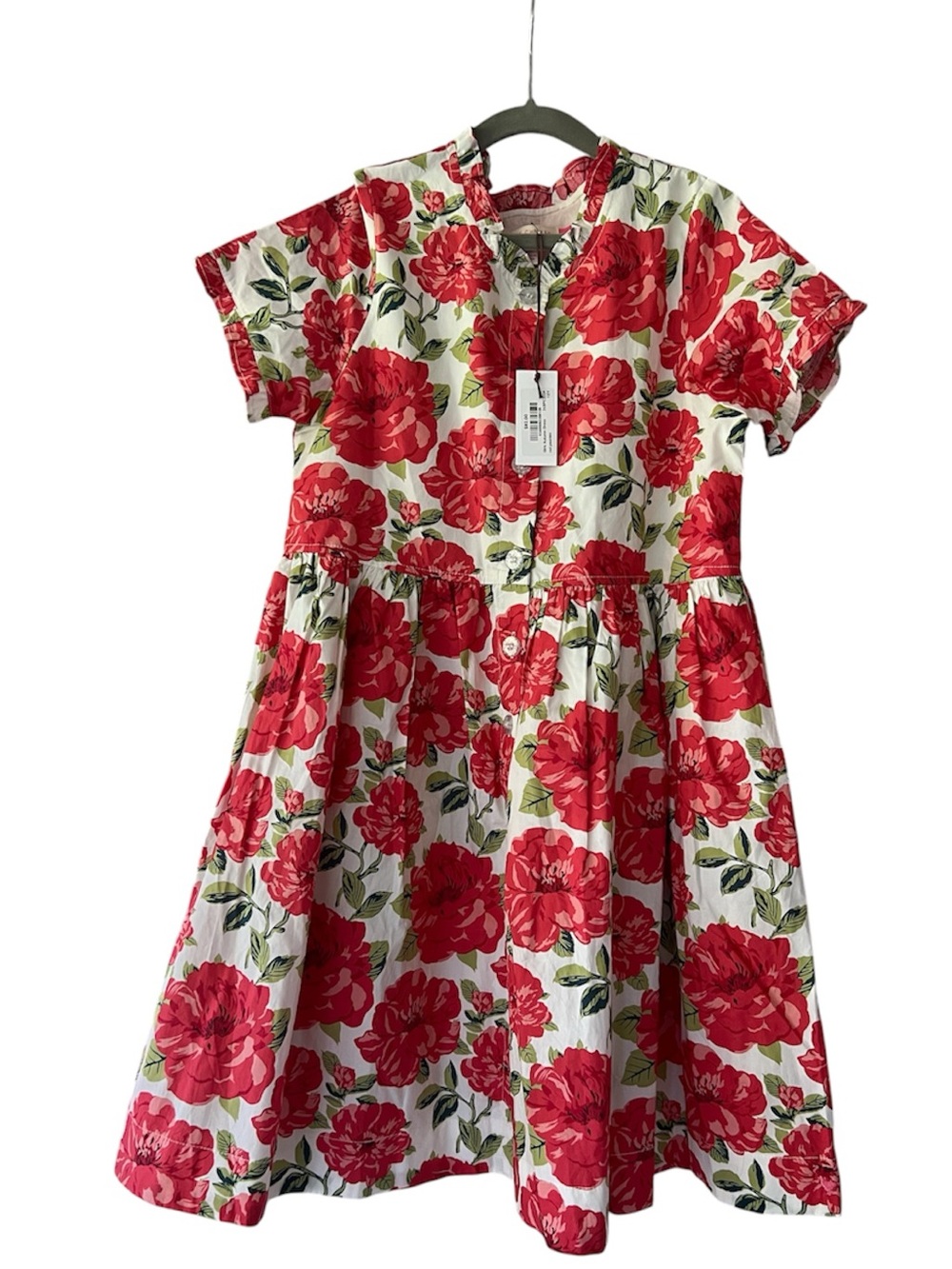 Pink Chicken Girls Autumn Dress 10Y Red Peonies Floral NWT